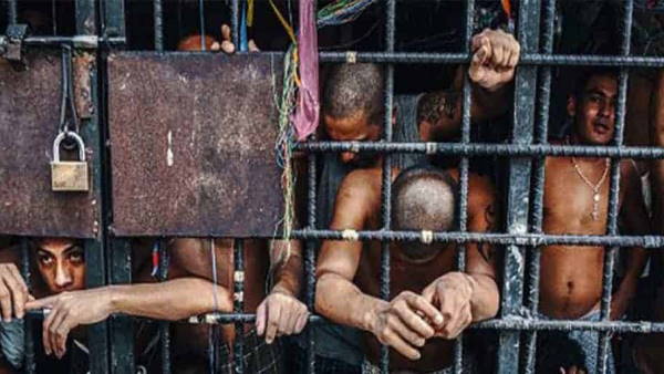 इंसान नहीं जानवरों जैसे हालात