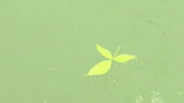 संत श्री दयालदास की तपोस्‍थली रहा है