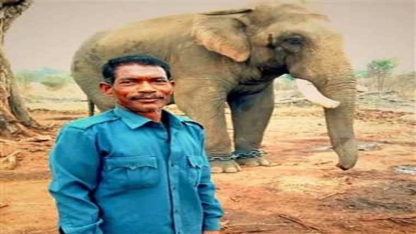रामबहादुर ने अपनेमहावत बुधराम रोत‍िया को कुचलकर मार द‍िया था