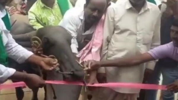 नेता, अधिकारी हर किसी से लगाई फरियाद