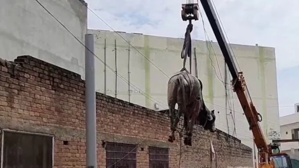 चार घंटे तक चला रेस्क्यू ऑपरेशन