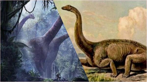 डायनासोर के पैरों के निशान मिले