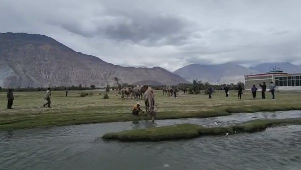 सेना में उपयोग के ल‍िए ऊंटों पर लंबा र‍िसर्च भी क‍िया है 