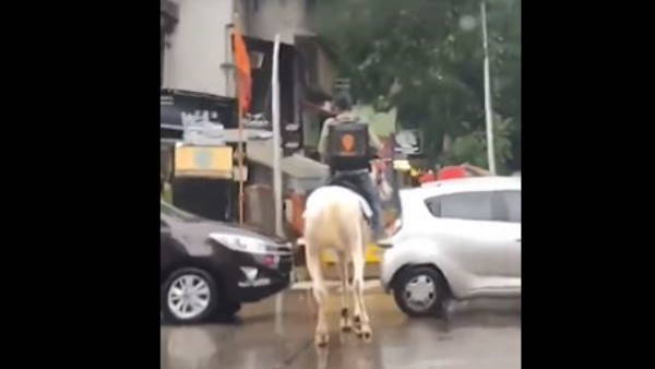 क्या था पूरा मामला?