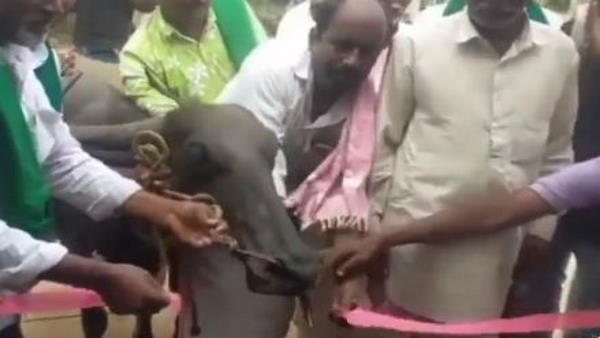 खुद ही मिलकर बनाने का किया फैसला