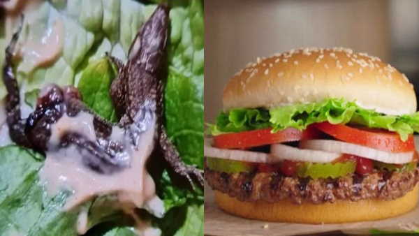 शिकायत की तो मिला अजीब जवाब