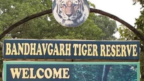 दुन‍ियाभर में बाघों के मामले में सबसे ज्‍यादा घनत्‍व