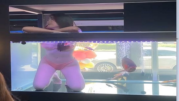 80 लाख से ज्यादा व्यूज 80 लाख से ज्यादा व्यूज