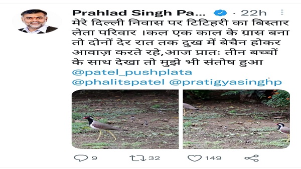 प्रहलाद पटेल द्वारा टिटहरी को लेकर किया गया ट्वीवीट प्रहलाद पटेल द्वारा टिटहरी को लेकर किया गया ट्वीवीट