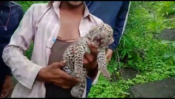 कई घंटों बाद पहुंचा वन-विभाग का अमला 