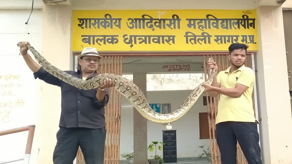  स्‍कूल छात्रावास में ब‍िल्‍ली के पीछे पहुंचा 12 फीट का अजगर
