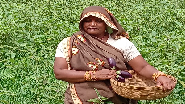 पार्षद बनी सीता देवी पार्षद बनी सीता देवी