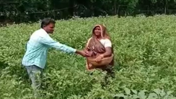 खेत से ही सब्जियां बेच देती हैं सीता देवी खेत से ही सब्जियां बेच देती हैं सीता देवी