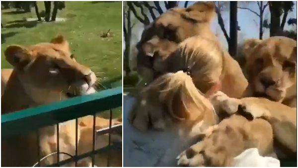 प्यार कोई बोल नहीं, प्यार आवाज नहीं...