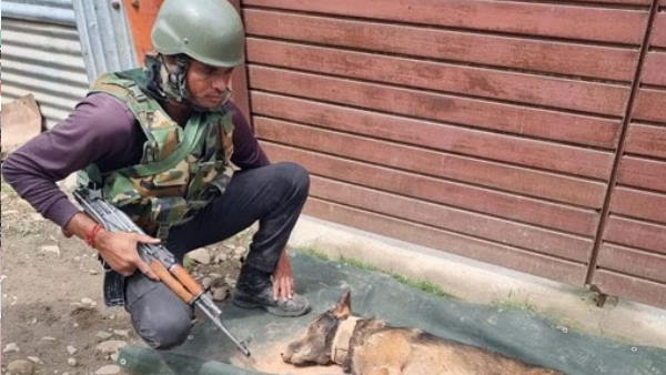 गोली लगने के बाद भी सेना के जवानों को किया सचेत गोली लगने के बाद भी सेना के जवानों को किया सचेत