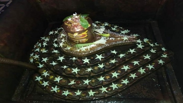 नागपंचमी पर पूजन करने सर्प आते थे नागपंचमी पर पूजन करने सर्प आते थे