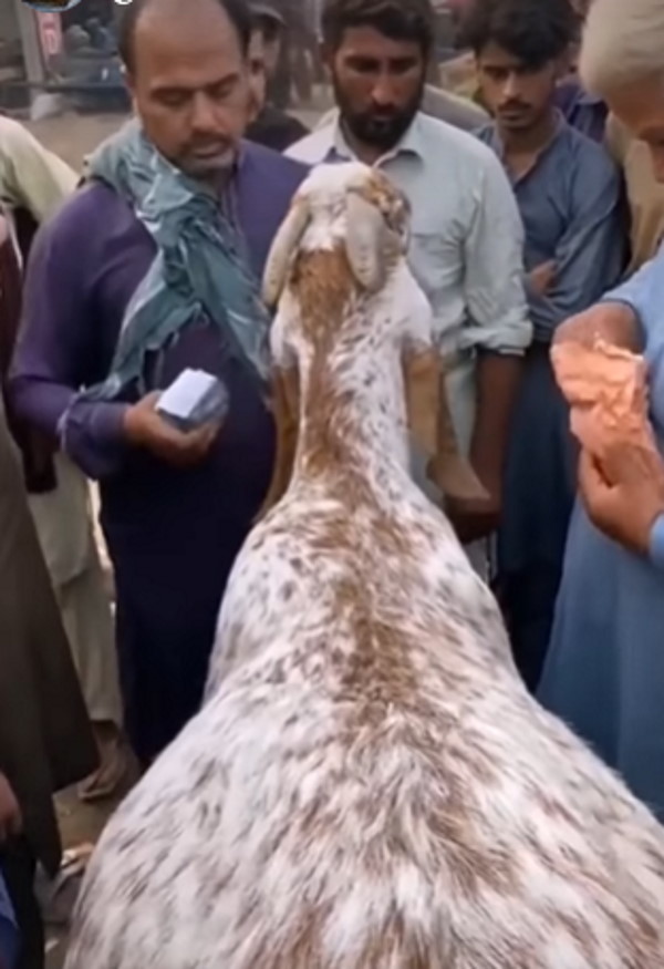  कोई नहीं रोक पाया आंसू