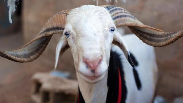डीएम के पास पहुंचकर बताई थी अपनी परेशानी