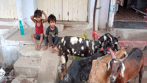 लुटेरों को इनको लूूटने में तन‍िक दया नहीं आई 