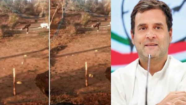 राहुल गांधी ने सीएम गहलोत से की सिफारिश
