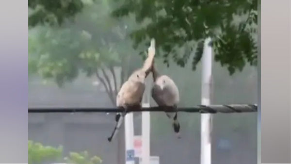 IPS काबरा ने ये वीडियो शेयर कर लिखी ये बड़ी बात 