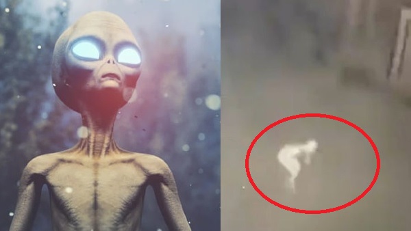 झोपड़ी के पास दिखा