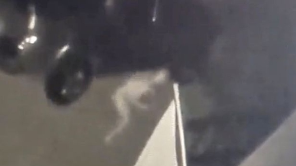 अमेरिका की है घटना