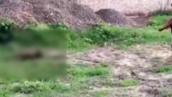 शव के पैर में रस्सी बांधकर घसीटा गया