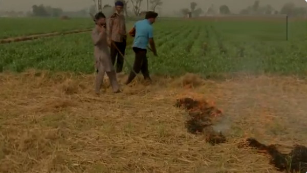 Farmers do not burn stubble in the fields, AAP government will compensate you, know how much you will get?