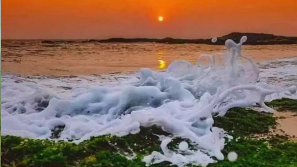 हमारा गौरव, प्रकृति में तिरंगा