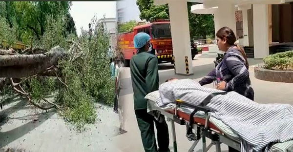 Chandigarh Sector 9: A tree fell on students at a school, One die, and 13 injured Chandigarh Sector 9: A tree fell on students at a school, One die, and 13 injured