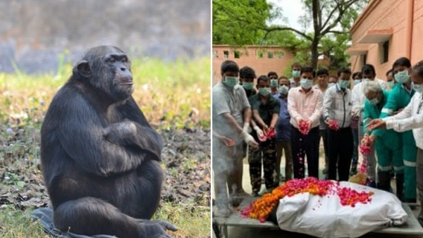 नम आंखों से दी गई जेसन को आखिरी विदाई 