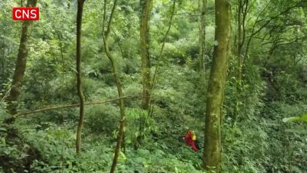 अंदर जाने के लिए 3 रास्ते