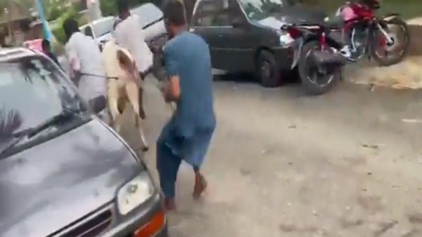 कसाई की हुई मौत