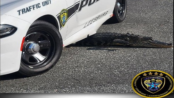 सकते में लोग