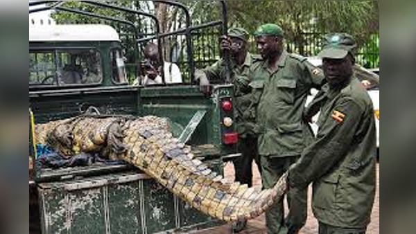 ऐसे आया 'ओसामा' पकड़ में