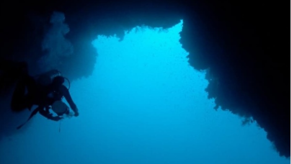 गोताखोर के कैमरे में कैद हुए आखिरी पल!