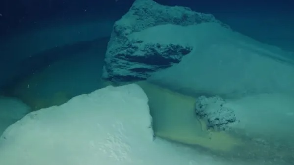 यहां पहुंचते ही समुद्री जीव हो जाते हैं अचेत