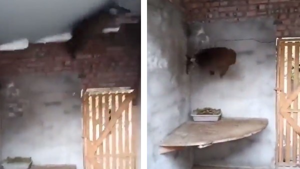 लोकेशन नहीं पता