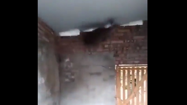 ये है हिरण की खासियत