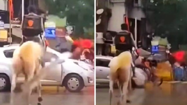 क्या था उसके बैग में?