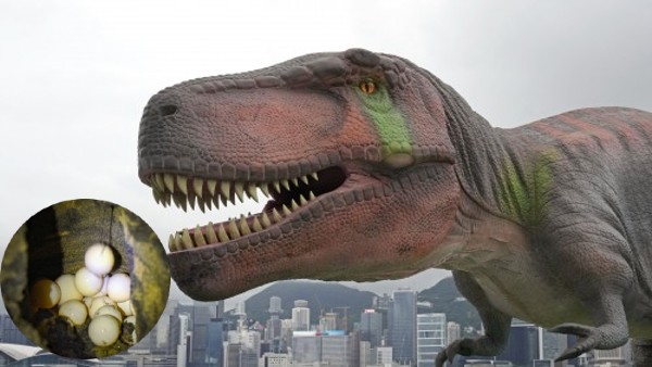 गोर्गोसॉरस एक भयानक छिपकली