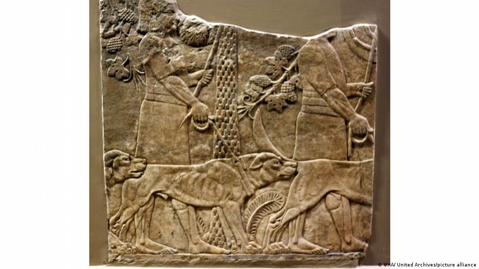 प्राचीन समय से ही इंसान और कुत्ते की दोस्ती है