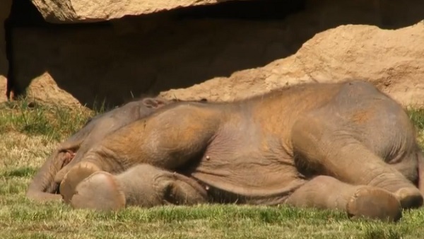 'मां तो मां होती है, इसमें कोई शक नहीं है...' 