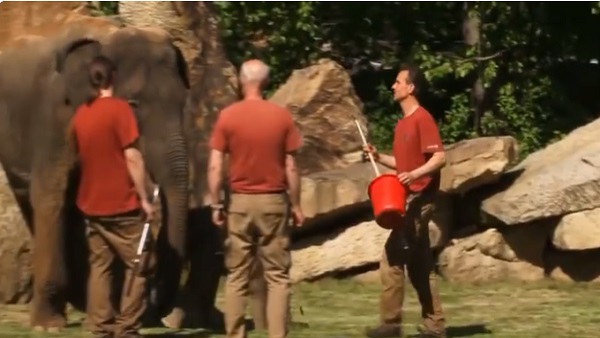 'हे भगवान, ये तो हमारे जैसा ही है...' 