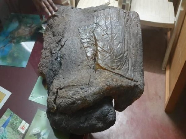 इंटरनेशल मार्केट में व्हेल की उल्टी की कीमत 28 करोड़ से अधिक इंटरनेशल मार्केट में व्हेल की उल्टी की कीमत 28 करोड़ से अधिक