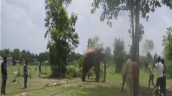 सुबह पांच बजे आया हि‍नौता कैंप, चार घंटे में काबू आ सका