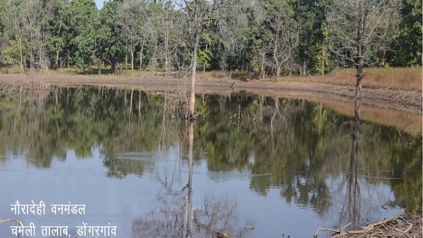 नौरादेही वन्‍य प्राणी अभयारण्‍य पर एक नजर 