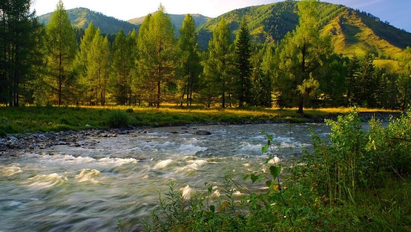 कई दिनों तक झोपड़ी में छुपा रहा पावेल