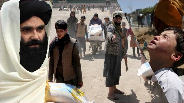 तालिबान कर रहा मनमानी